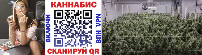 Шишки марихуана Ganja  Можга 